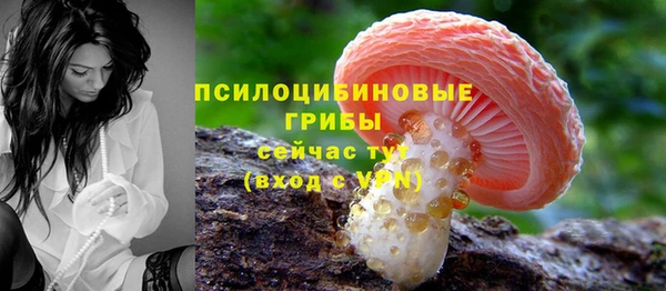 2c-b Медногорск