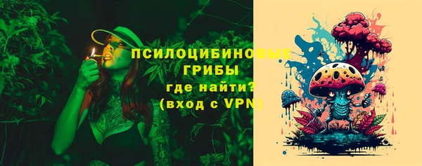 МДПВ Мегион