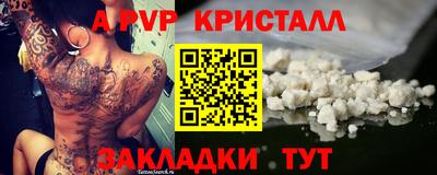 ECSTASY Гай