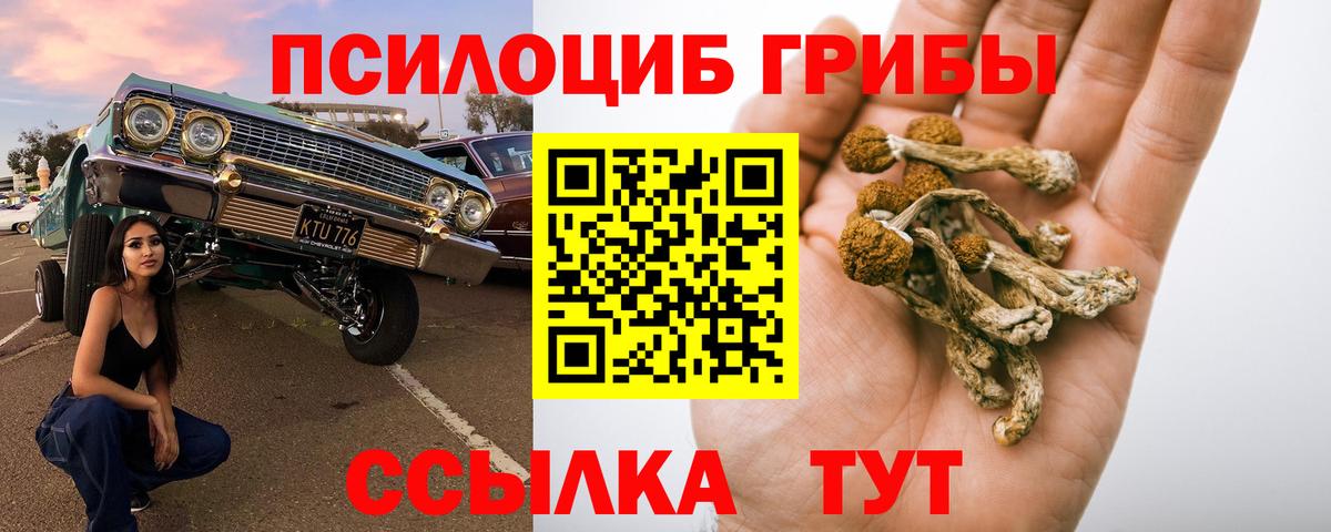 Галлюциногенные грибы мицелий Люберцы