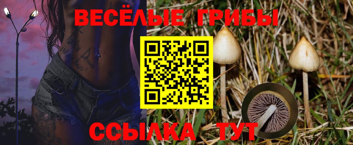 Псилоцибиновые грибы мицелий  Вход с VPN  Люберцы 
